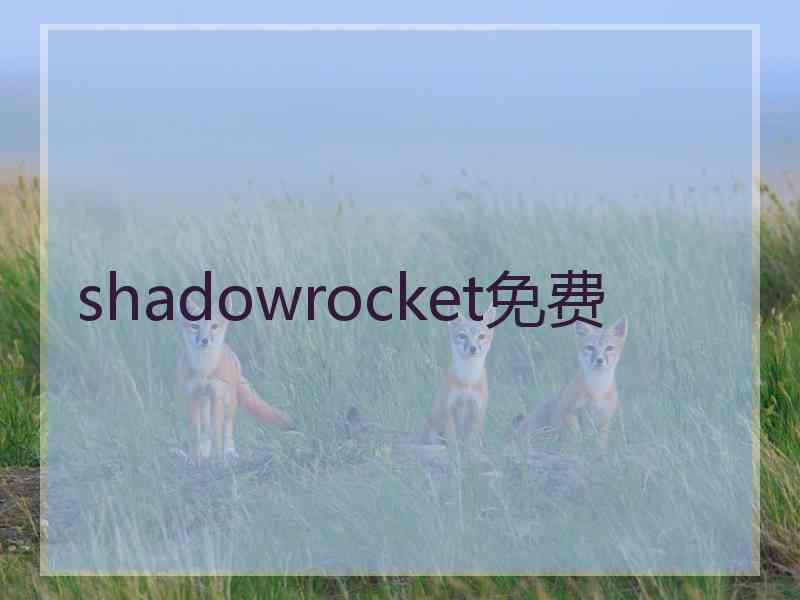 shadowrocket免费