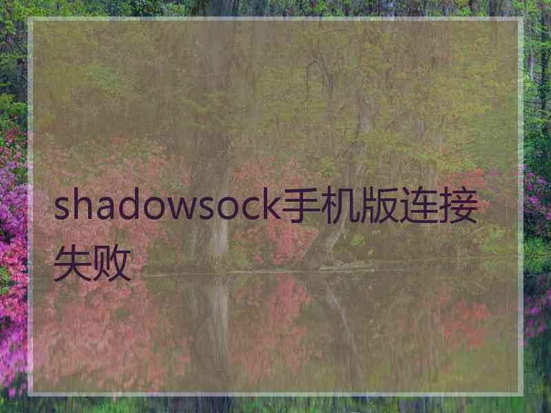 shadowsock手机版连接失败