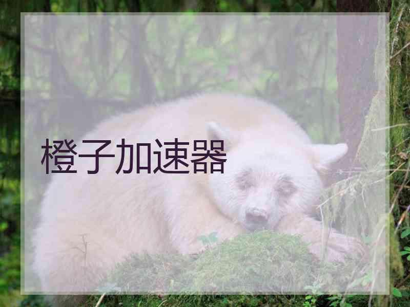 橙子加速器