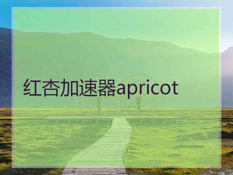 红杏加速器apricot