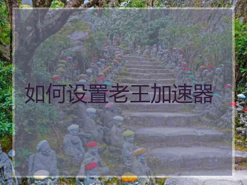 如何设置老王加速器