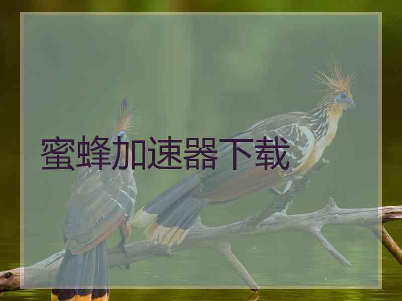 蜜蜂加速器下载