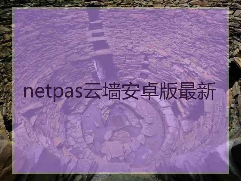 netpas云墙安卓版最新