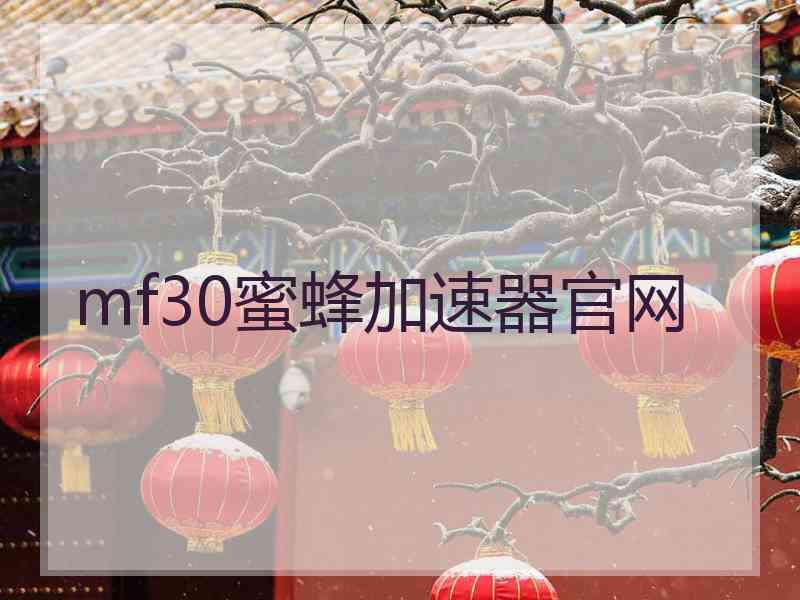 mf30蜜蜂加速器官网