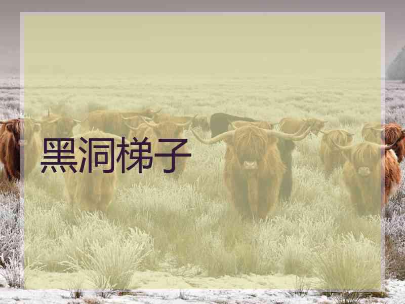 黑洞梯子