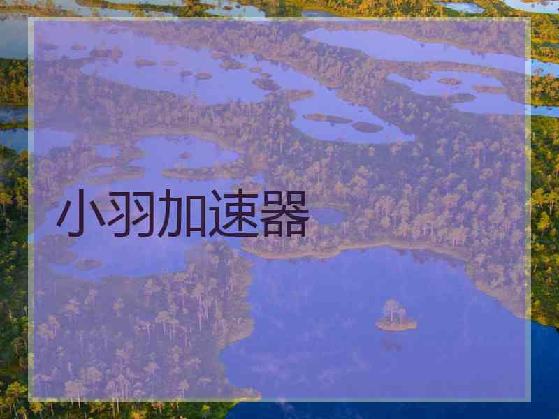 小羽加速器