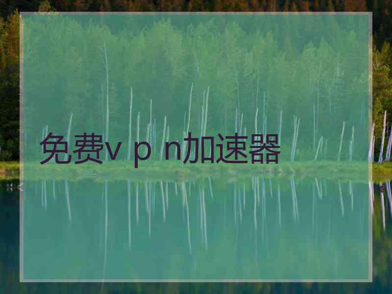 免费v p n加速器