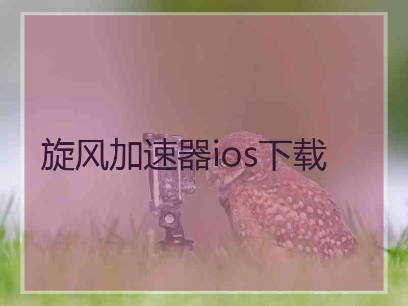 旋风加速器ios下载