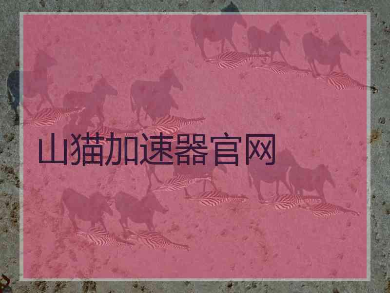 山猫加速器官网