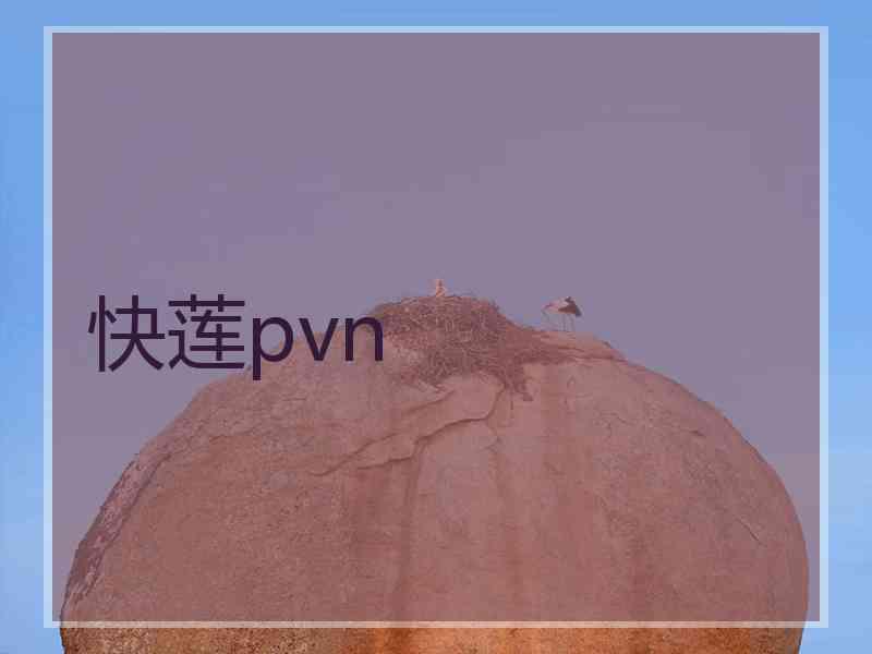 快莲pvn