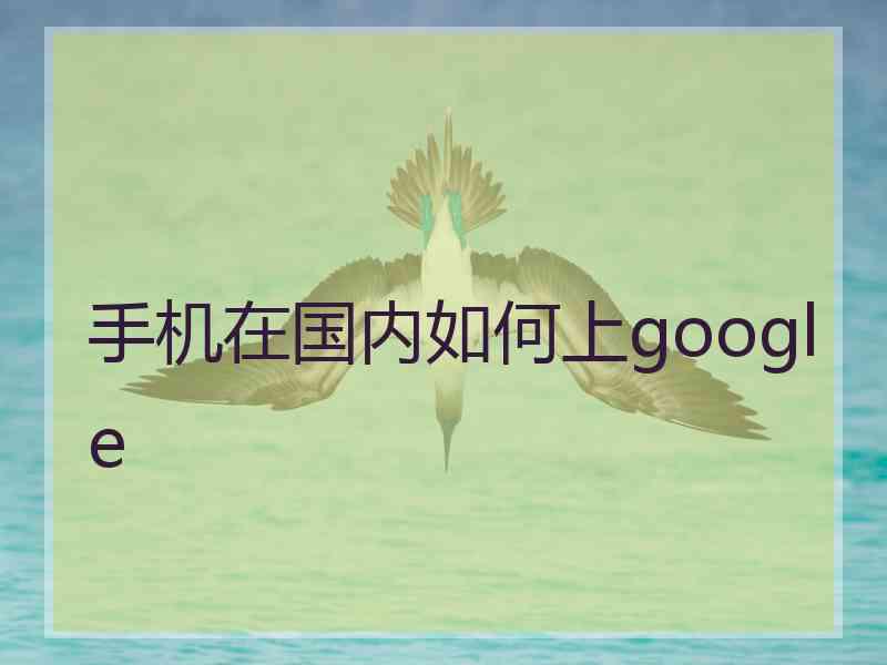 手机在国内如何上google