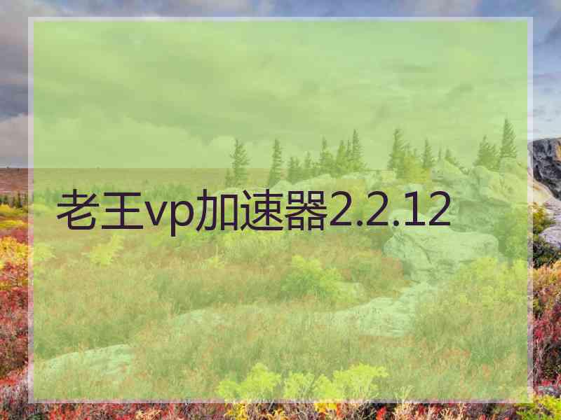 老王vp加速器2.2.12