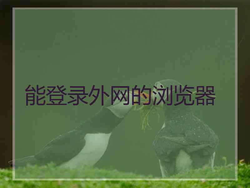 能登录外网的浏览器