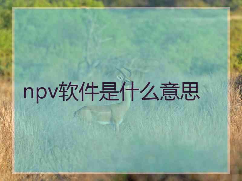 npv软件是什么意思