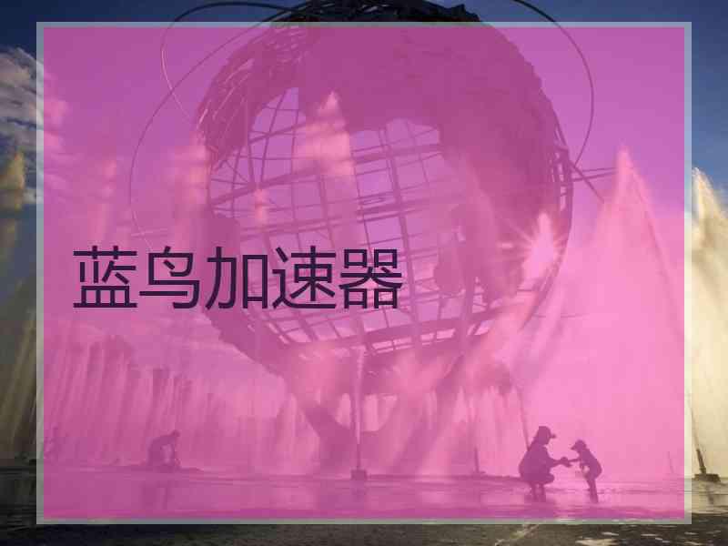 蓝鸟加速器