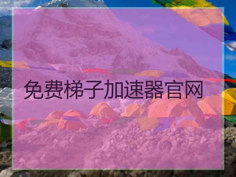免费梯子加速器官网