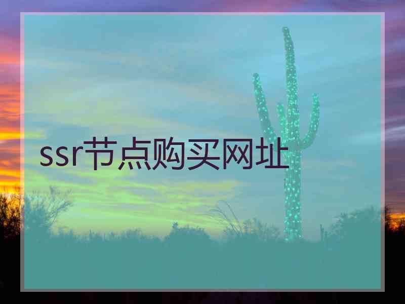 ssr节点购买网址