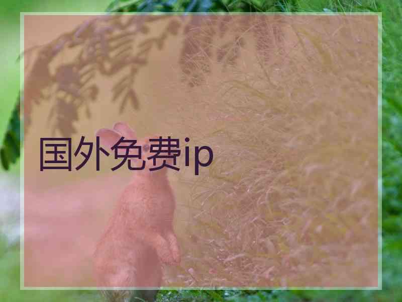 国外免费ip