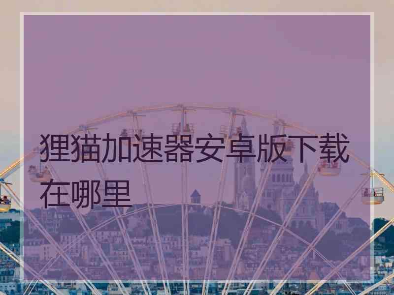 狸猫加速器安卓版下载在哪里