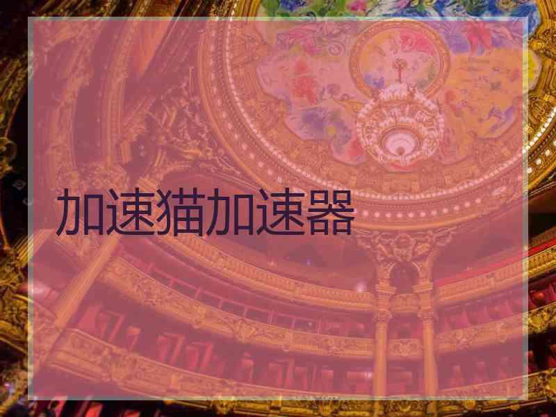 加速猫加速器