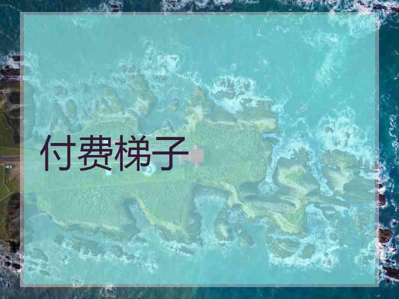 付费梯子