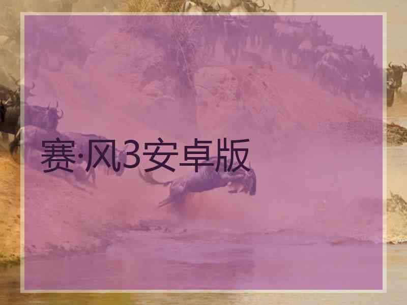 赛·风3安卓版