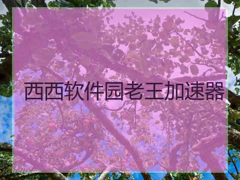 西西软件园老王加速器