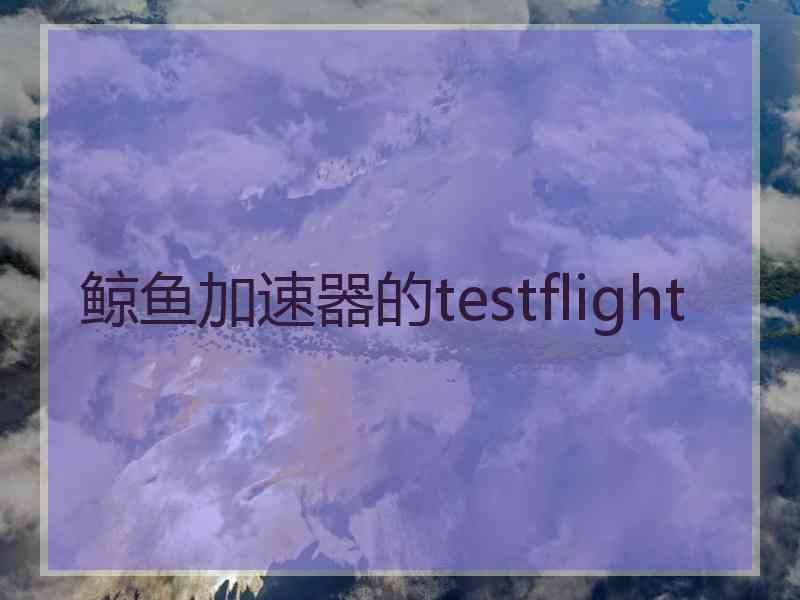 鲸鱼加速器的testflight