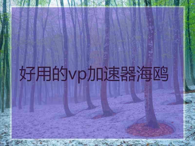 好用的vp加速器海鸥