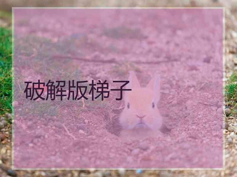 破解版梯子