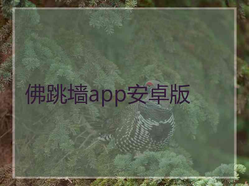 佛跳墙app安卓版