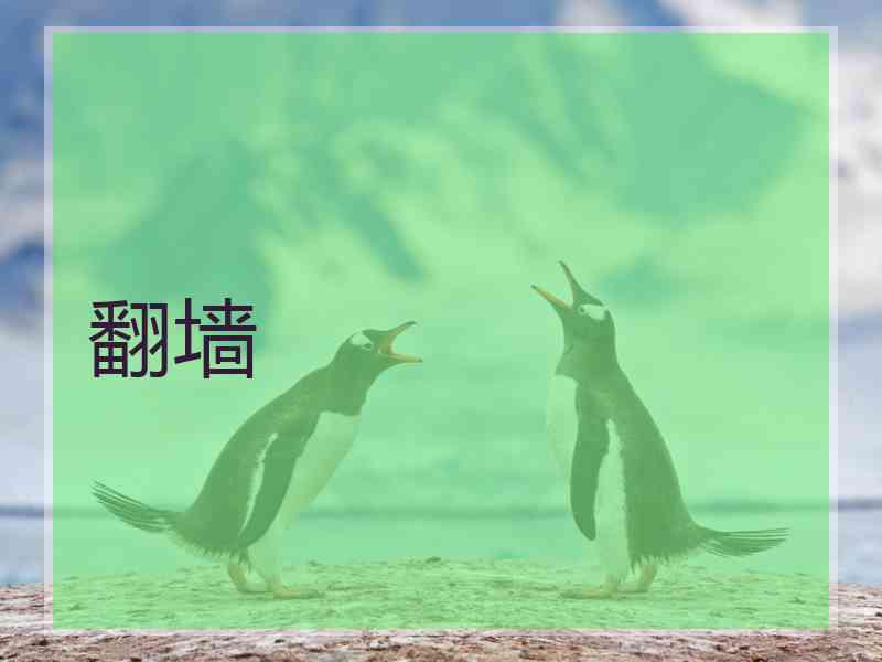 翻墙