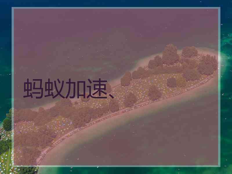 蚂蚁加速、