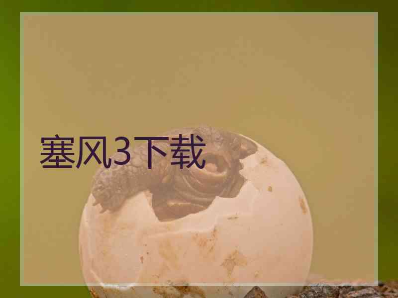 塞风3下载