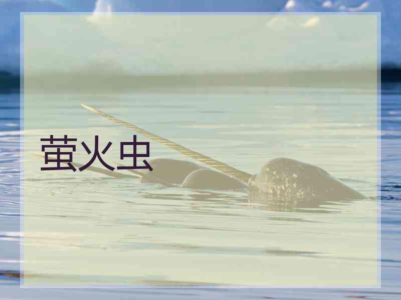 萤火虫
