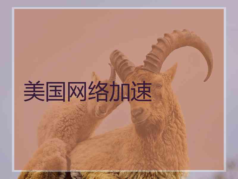 美国网络加速