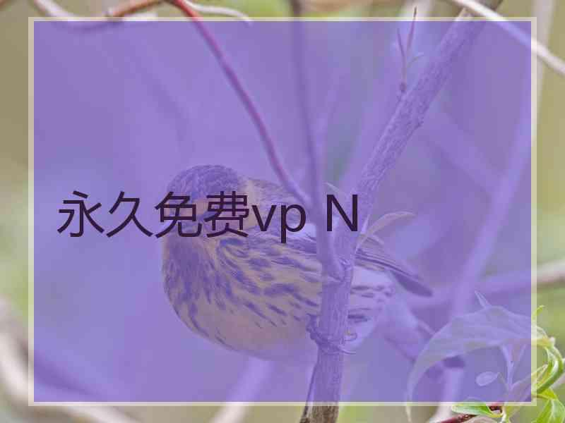 永久免费vp N