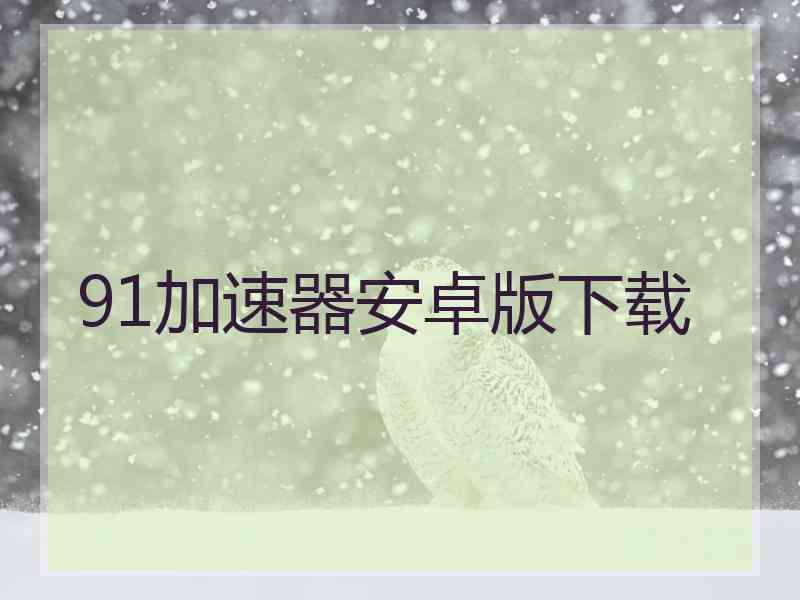 91加速器安卓版下载