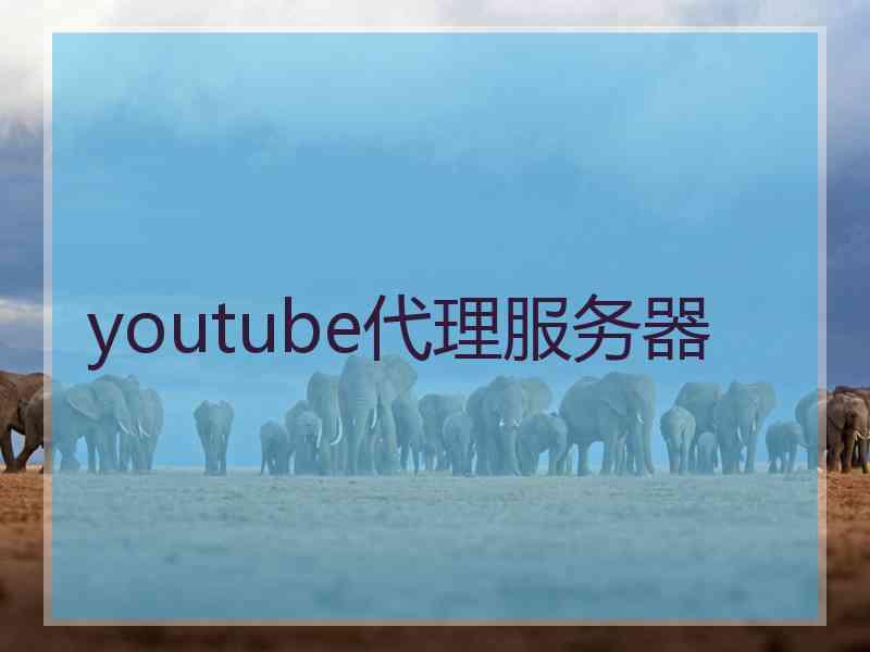 youtube代理服务器