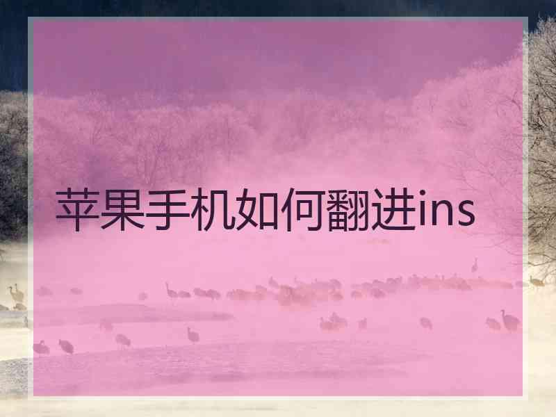 苹果手机如何翻进ins