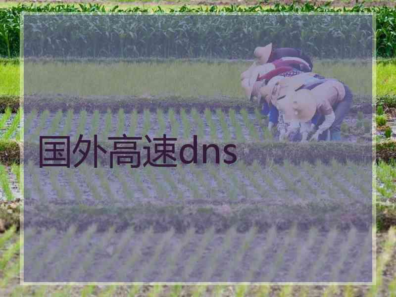 国外高速dns