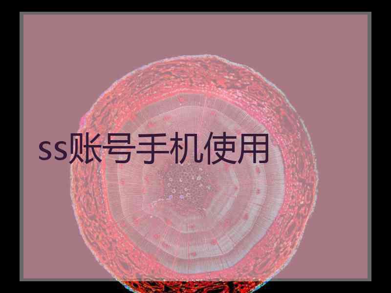 ss账号手机使用