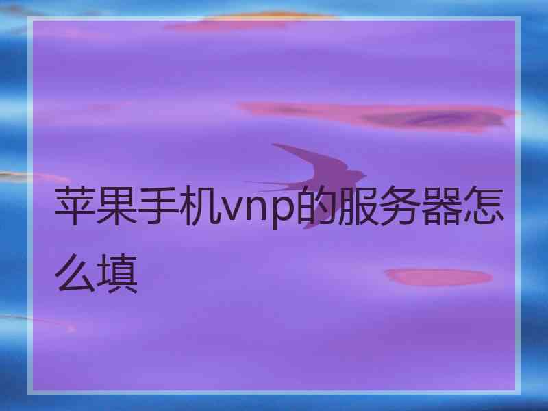 苹果手机vnp的服务器怎么填