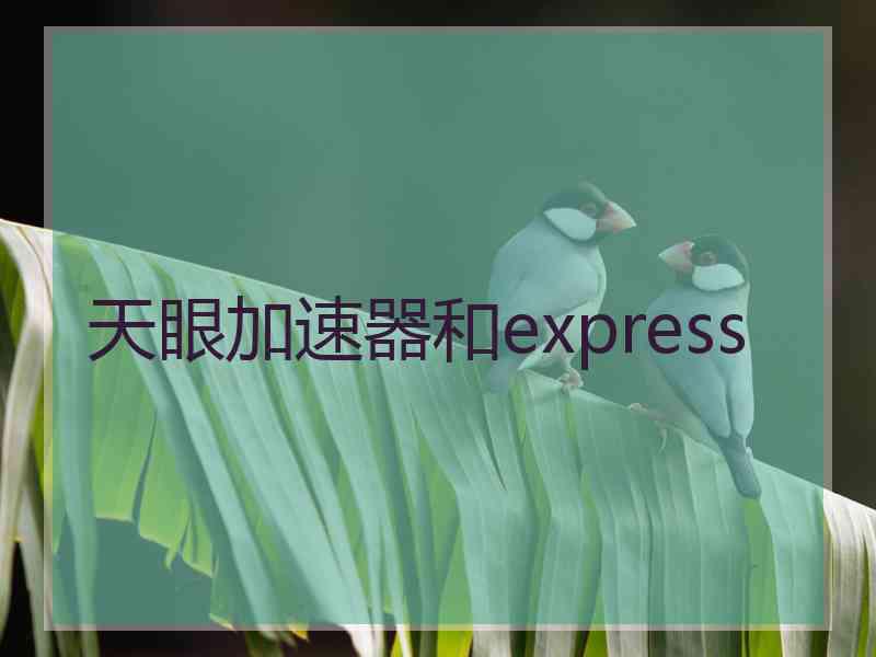 天眼加速器和express