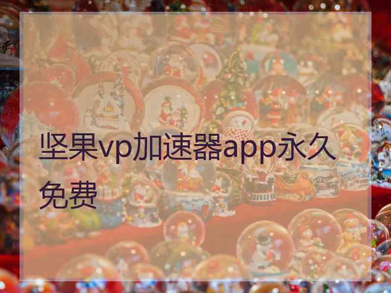 坚果vp加速器app永久免费