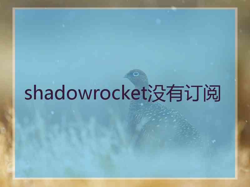 shadowrocket没有订阅