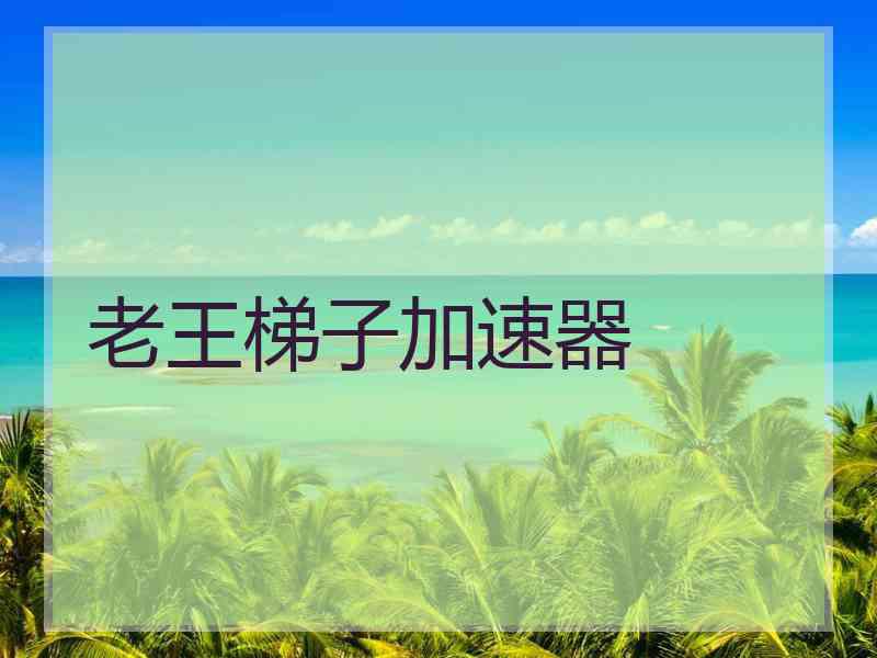 老王梯子加速器
