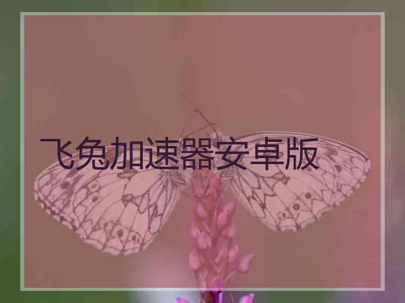 飞兔加速器安卓版