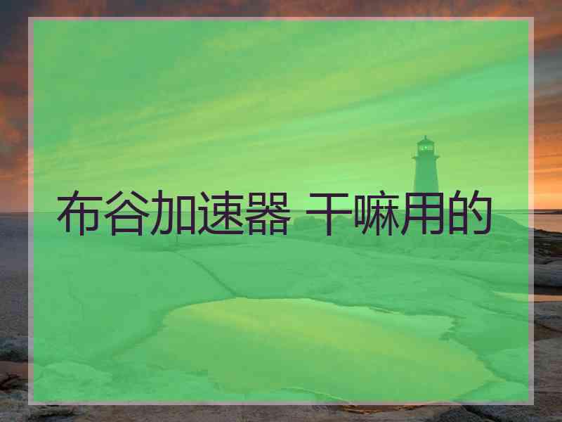 布谷加速器 干嘛用的