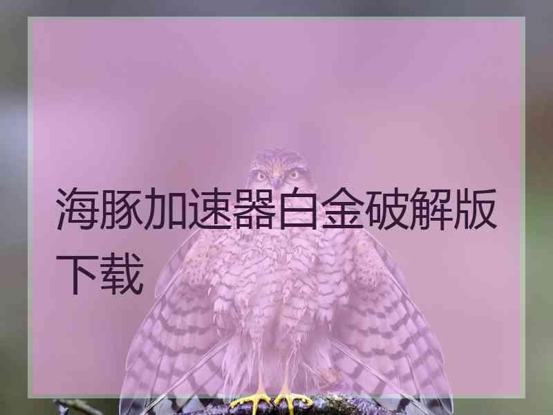 海豚加速器白金破解版下载